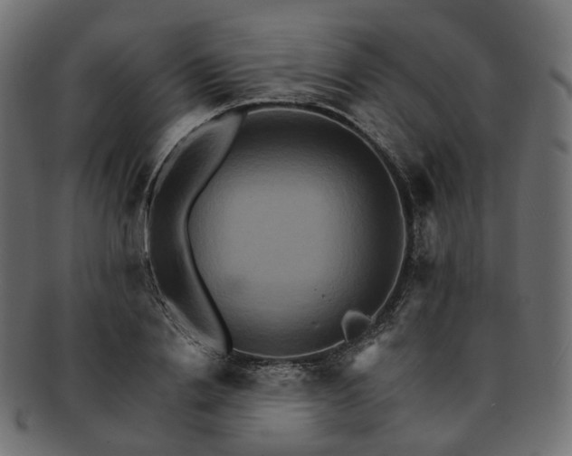 X0000093220838200710031438