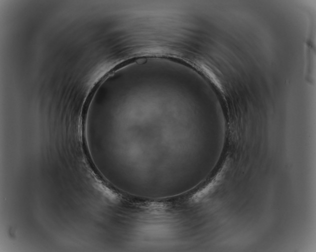 X0000093220839200710031438