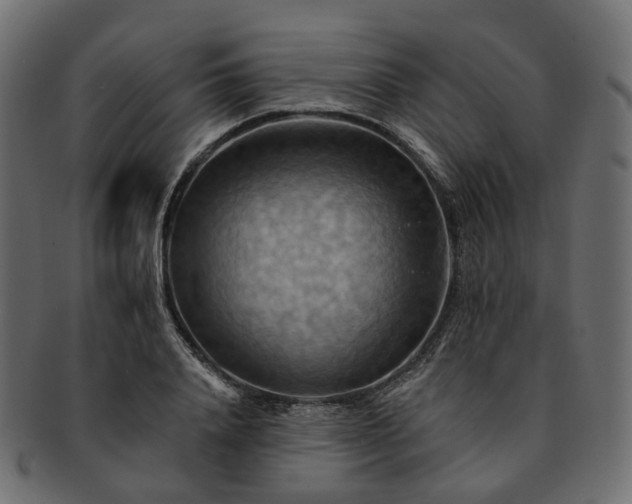 X0000093220840200710031438