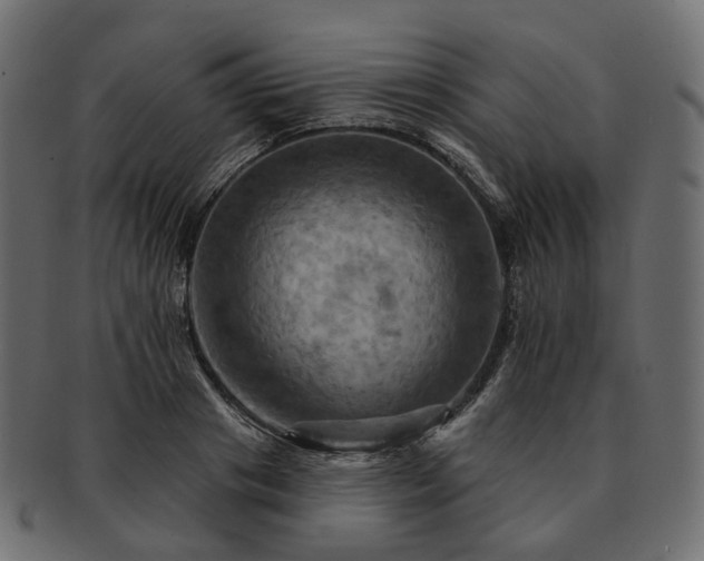 X0000093220841200710031438