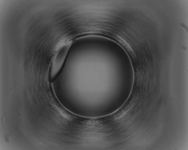 X0000093220842200710031438