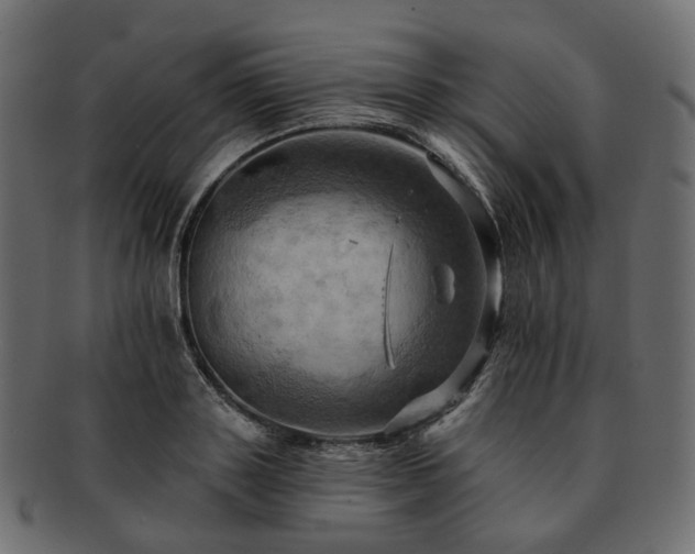 X0000093220843200710031438