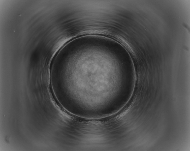 X0000093220844200710031438