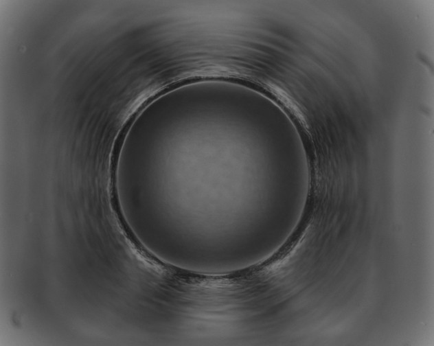 X0000093220845200710031438