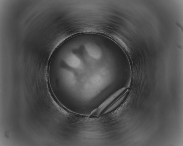 X0000093220847200710031438