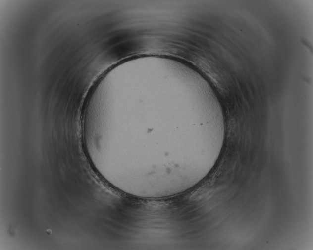 X0000093220848200710031438