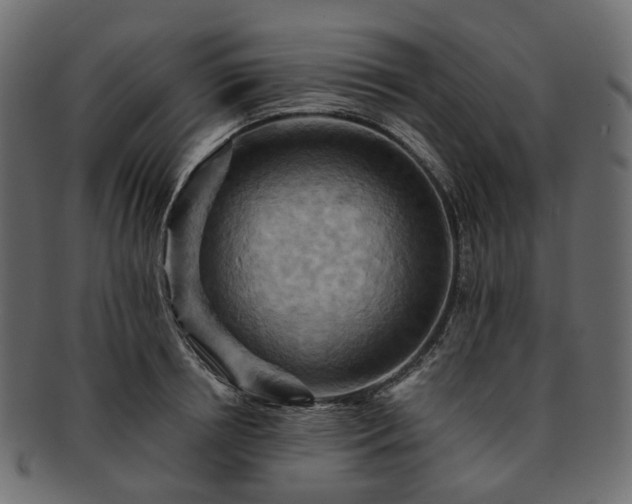 X0000093220850200710031438