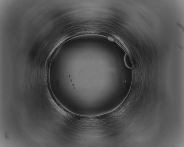 X0000093220851200710031438