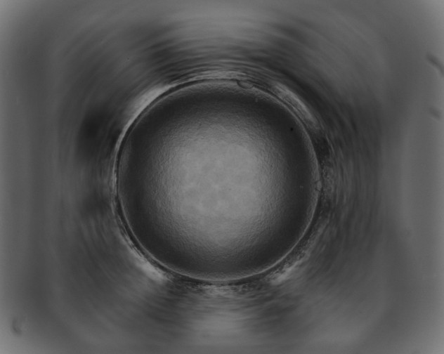 X0000093220852200710031438