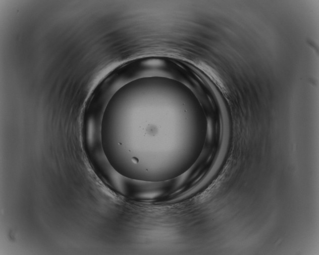 X0000093220854200710031438