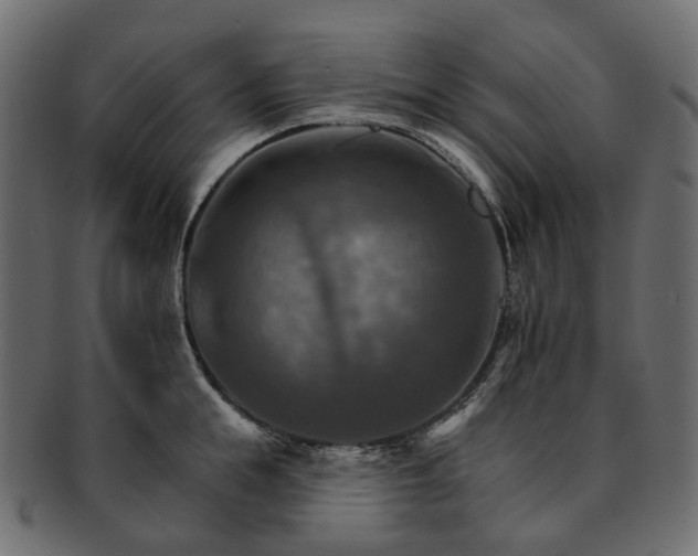 X0000093220855200710031438