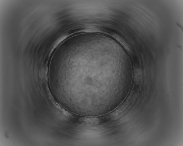 X0000093220856200710031438