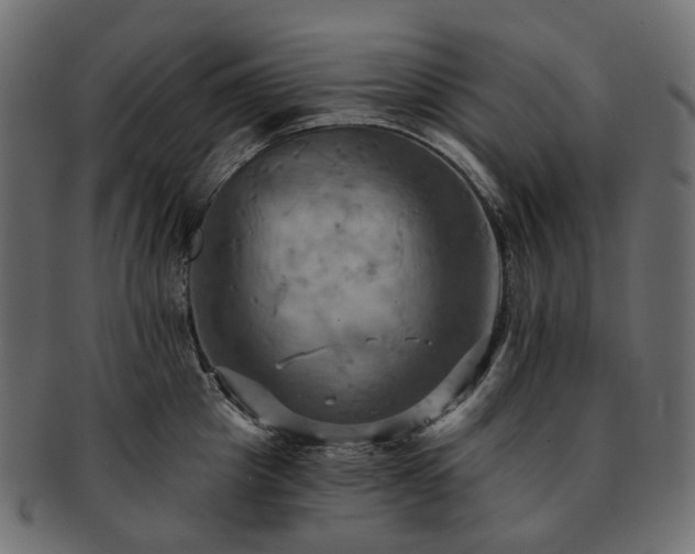 X0000093220857200710031438