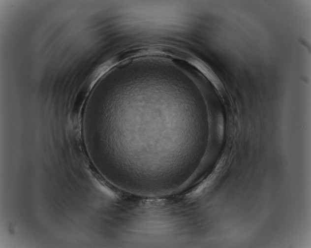 X0000093220858200710031438