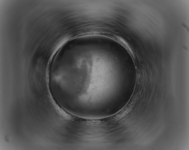 X0000093220859200710031438