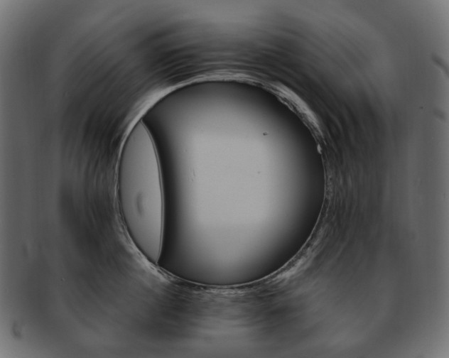 X0000093220860200710031438