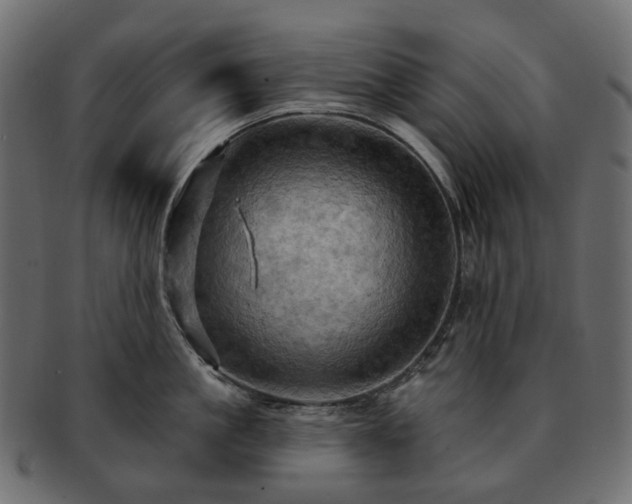 X0000093220861200710031438