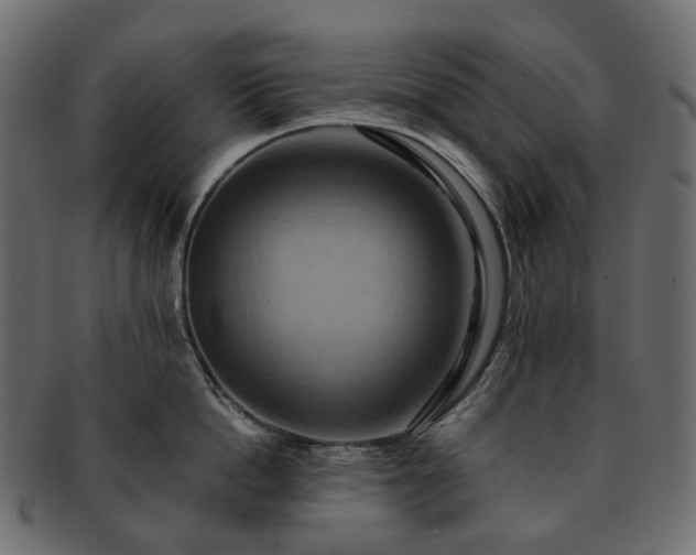 X0000093220862200710031438