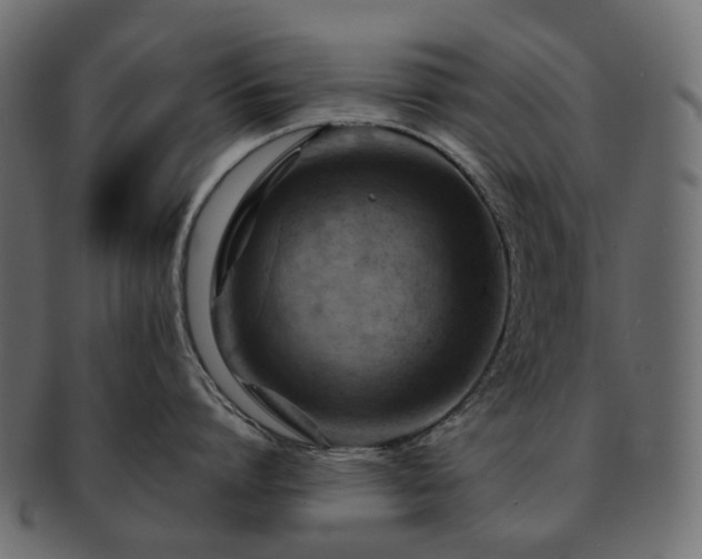 X0000093220864200710031438