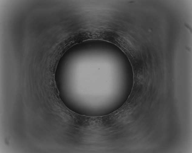 X0000093220865200710031437