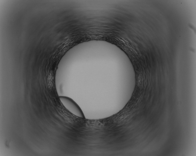 X0000093220866200710031437