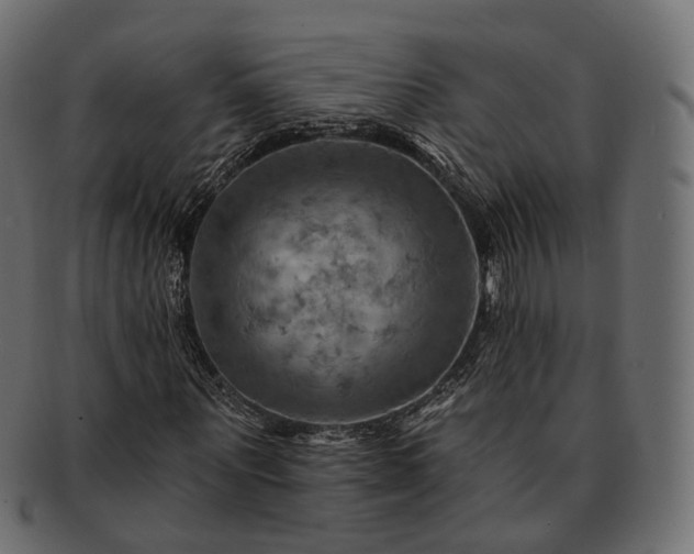 X0000093220867200710031437