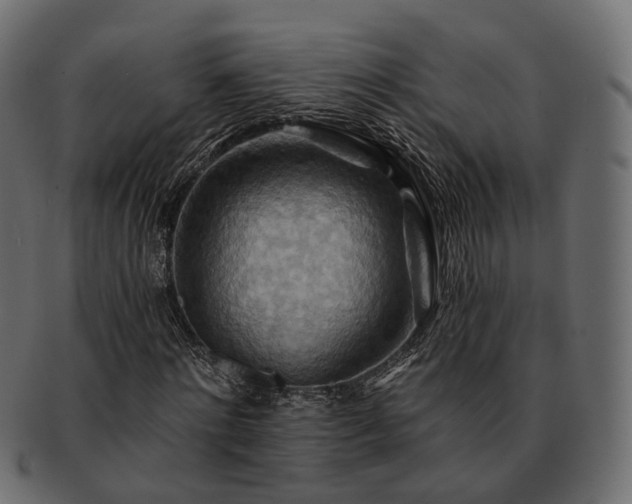 X0000093220868200710031437