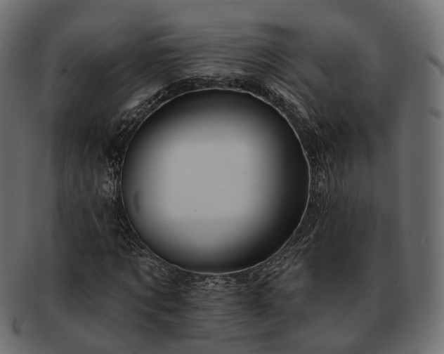 X0000093220869200710031437