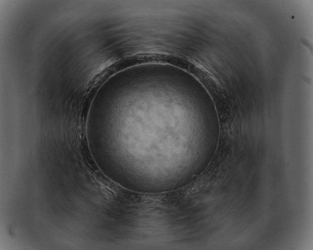 X0000093220870200710031437