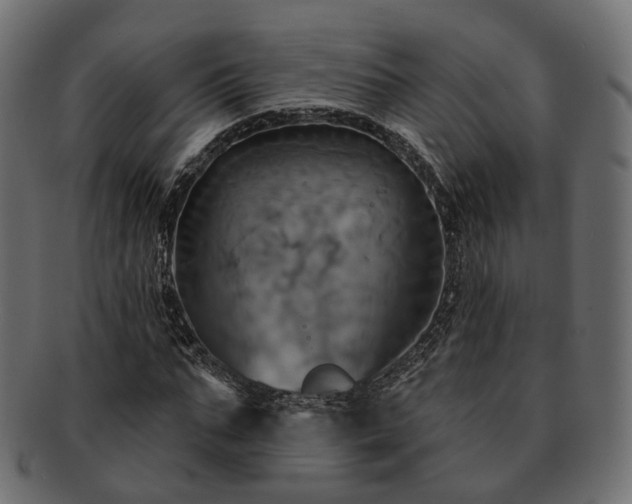 X0000093220871200710031437