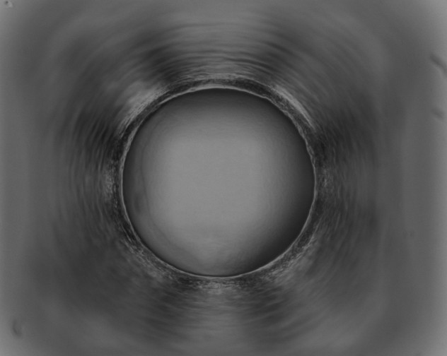 X0000093220874200710031437