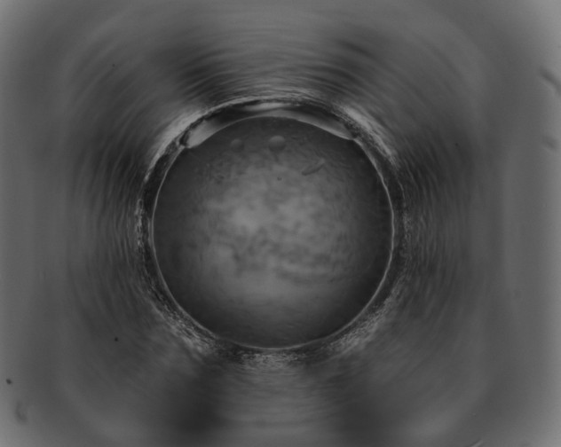 X0000093220875200710031437