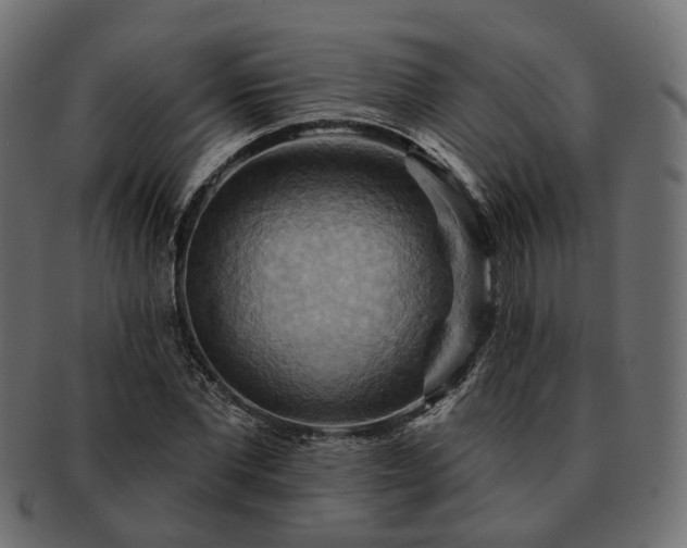 X0000093220877200710031437