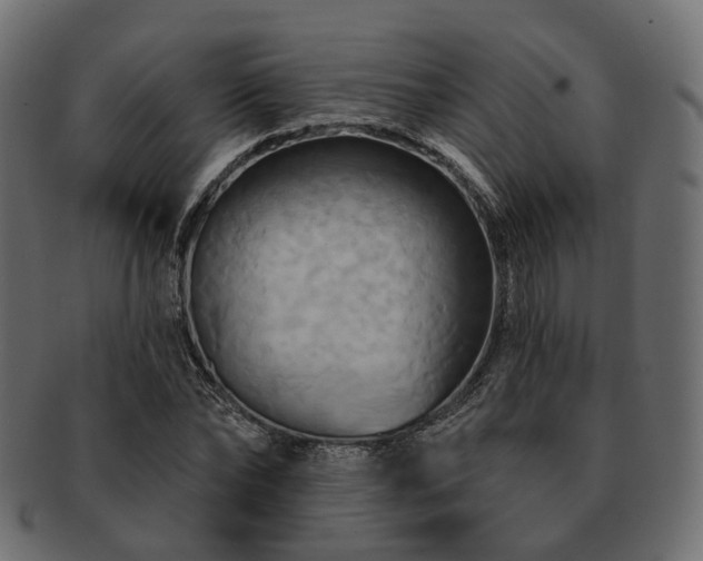 X0000093220878200710031437