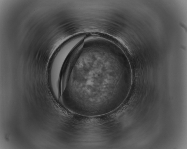 X0000093220879200710031437