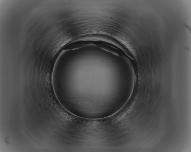 X0000093220881200710031437