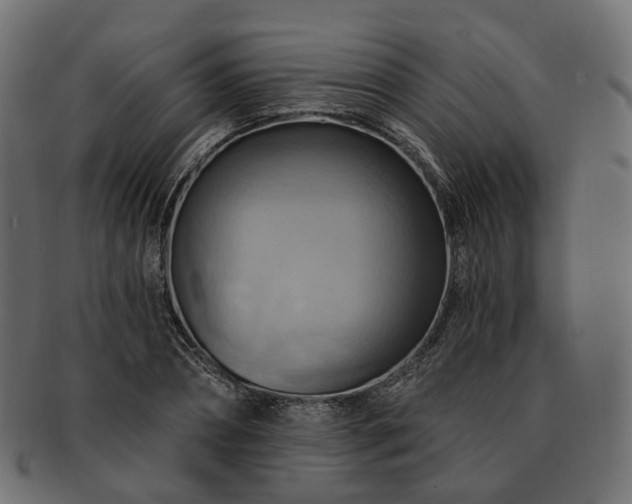 X0000093220882200710031437