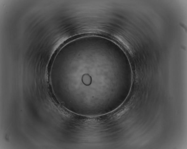 X0000093220883200710031437