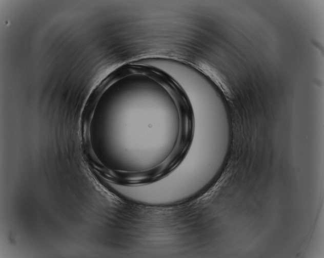 X0000093220884200710031437