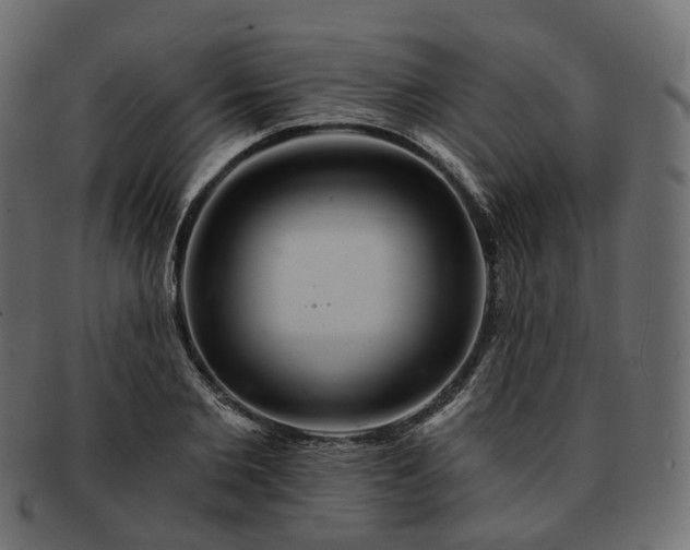 X0000093220885200710031437