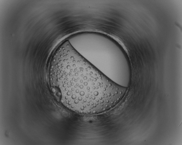 X0000093220887200710031437