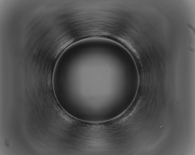 X0000093220889200710031437