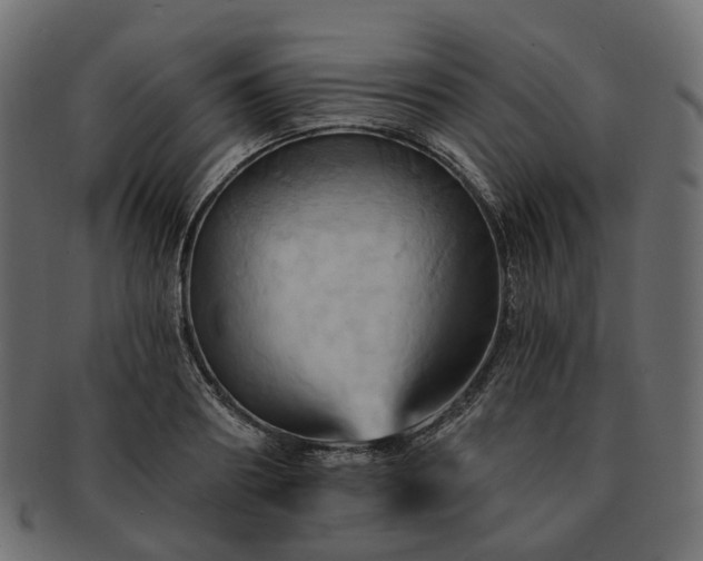 X0000093220890200710031437