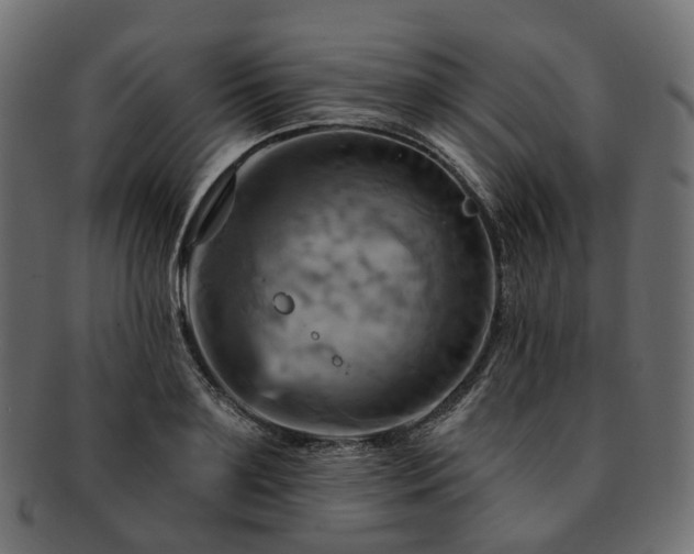 X0000093220891200710031437