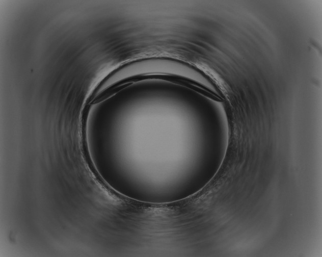 X0000093220894200710031437