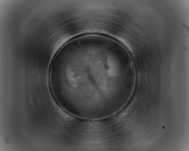 X0000093220895200710031437