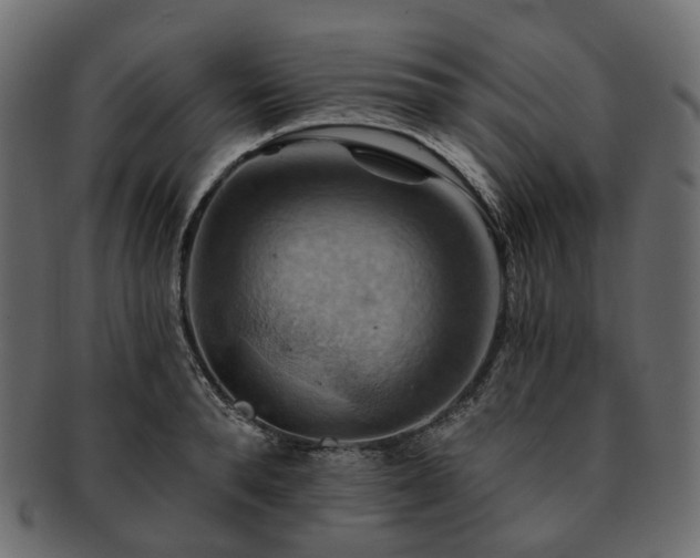 X0000093220896200710031437