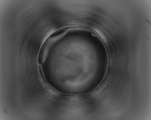 X0000093220899200710031437