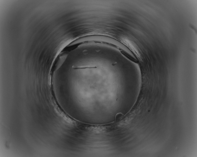 X0000093220900200710031437