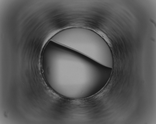 X0000093220904200710031437